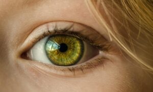 視力回復に効果的な食べ物は何ですか？