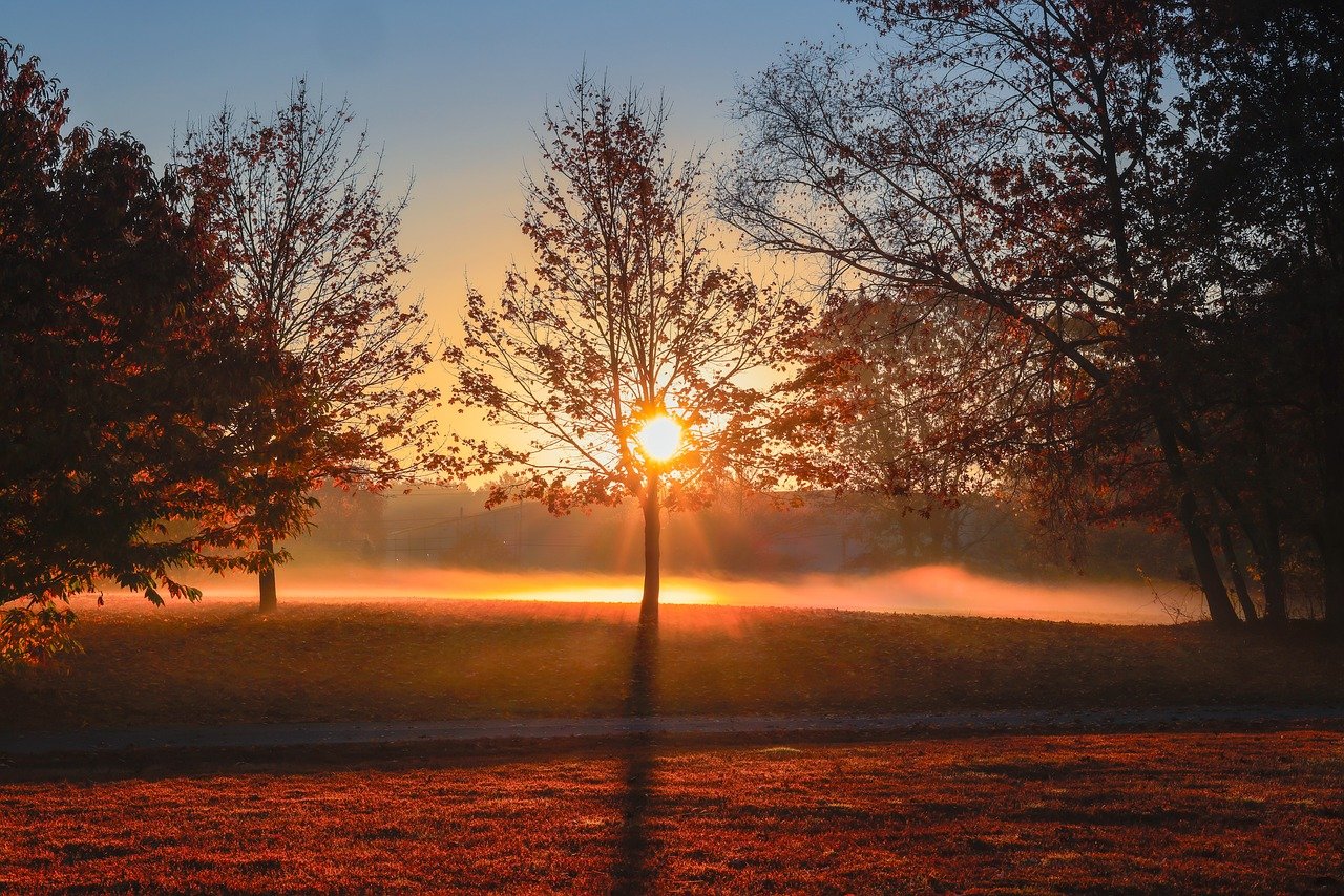 子供の視力低下に気づいたらメガネはいつ買うべき？