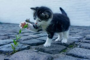 子供の視力回復に効果的なトレーニング方法は？