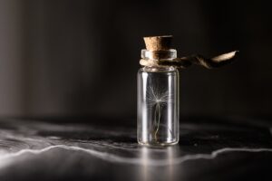 子供の近視を遺伝のリスクから減らす方法は？