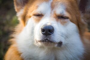 オルソケラトロジーは子供にどんな効果があるのか？