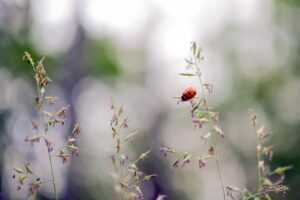 子供の視力を守るための効果的な方法は？