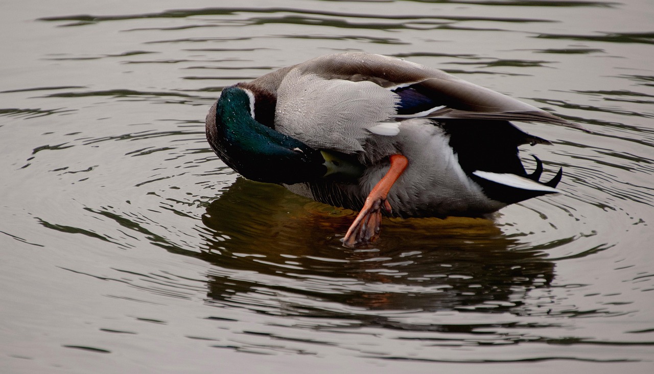 視力低下が子供に止まった体験とはどのようなものか？